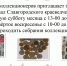 афишка - Городской краеведческий музей