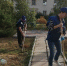 В городах и сёлах: субботники в поддержку эко-положений Конституции прошли в Алтайском крае - Славгородские вести