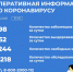 198 новых случаев заболевания коронавирусной инфекцией зарегистрировано в Алтайском крае за последние сутки - Славгородские вести