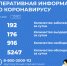 192 новых случая заболевания коронавирусом зарегистрировано в Алтайском крае за сутки - Славгородские вести