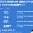 12 случаев заражения коронавирусом зарегистрировано в Славгороде за сутки - Славгородские вести