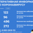 122 новых случая заболевания коронавирусом зарегистрировано в Алтайском крае за сутки - Славгородские вести
