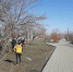 Во время субботника в Славгороде приняли участие около 300 человек - Славгородские вести