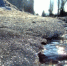 Фото - Администрация города Славгорода