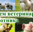 Фото - Администрация города Славгорода