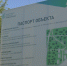 Формирование современной городской среды - Славгородские вести